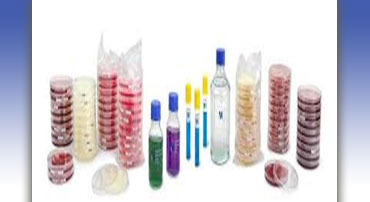 Dehydrated culture media