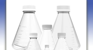 Erlenmeyer flask